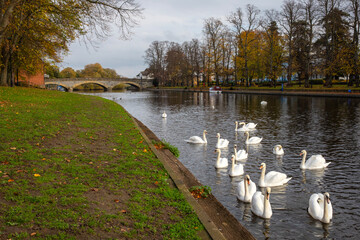 Workman Bridge and the River Avon in Evesham, UK © chrisdorney