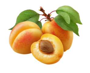 Three fresh apricots, one halved, with leaves and a black backdrop