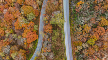 Aerial view of fall colors in the mountains