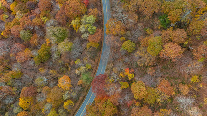 Aerial view of fall colors in the mountains