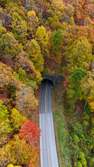 Aerial view of fall colors in the mountains