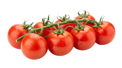 A close-up shot of ripe red tomatoes on a vine, with fresh green stems. The vibrant colors create an enticing visual