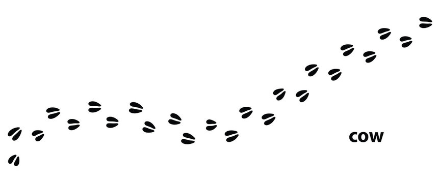 Cow Footprint Isolated Vector,Cow Footprint Trail Vector Graphic,Cow Hoof Print Vector Illustration on White Background