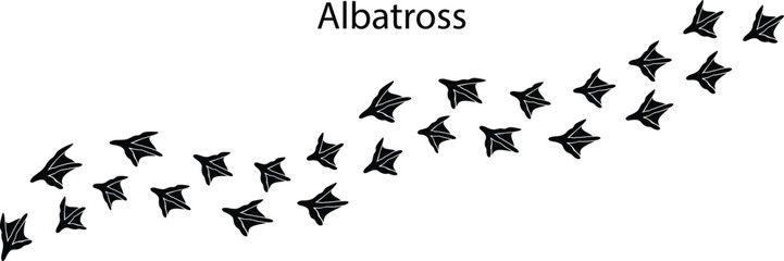 Albatross Footprint Vector Illustration,Albatross Track Mark Vector Illustration © Sejal
