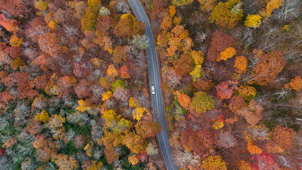 Aerial view of fall colors in the mountains.
