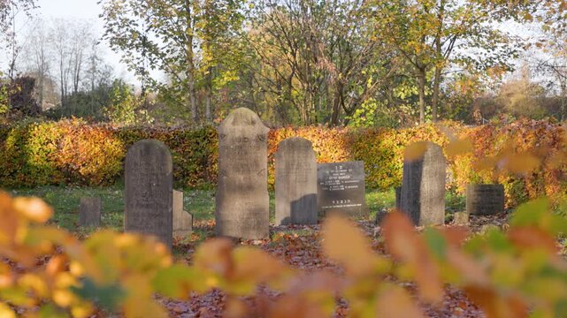 Autumn cemetery scene with rows of gravestones on leaf covered ground, golden trees and warm sunlight create a peaceful, reflective atmosphere. Jewish cemetery in autumn.