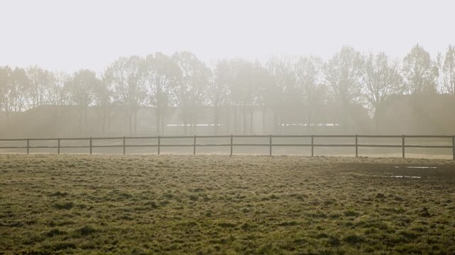 Foggy rural scene with grassy field, wooden fence, leafless trees, and faint buildings soft morning light enhances tranquil seasonal atmosphere.