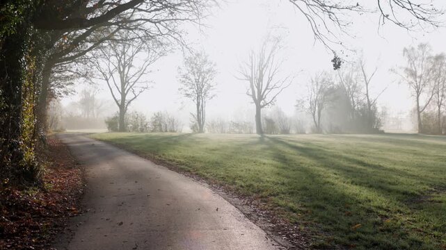 Curving paved path through frosty grass and leafless trees, golden sunlight and mist create a tranquil, ethereal late autumn scene.