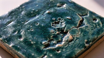 Close-Up View of Moldy Blue Cheese Slice on White