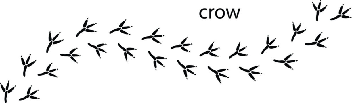 Crow Paw Print,Crow Paw Print Editable Stroke Vector Illustration,Crow Paw Print ,Crow Foot Track