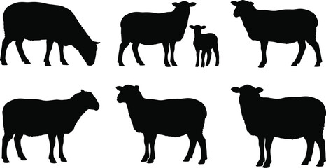 A collection of black sheep silhouettes against a transparent background