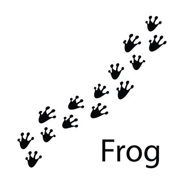 Frog Paw Print Line Icon &ndash; Trendy Amphibian Track Vector for Web and App UI,Frog Footprint Black Line Icon for UI Design