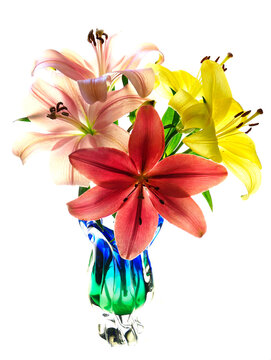 A Focus Stacked Image of Multicolored Lilies in a Colorful Vace Isolated on White