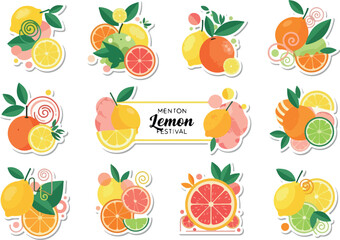 Citrus Fruit Sticker Set Refreshing Lemon and Orange Designs
