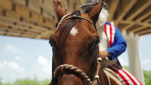 Caballo jinete, Celebracion 4 de Julio, USA Estados Unidos de America  