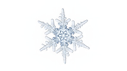 Perfectly formed real macro snowflake crystal isolated on white background, six-pointed, winter, unique natural structure, cold, close-up
