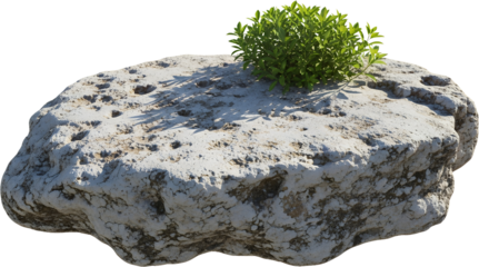 A textured rough edged white rock formation featuring a vibrant green plant growing from its surface isolated on a transparent background