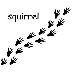 Squirrel Paw Print Vector,Squirrel Paw Mark Illustration,wild animal paw prints