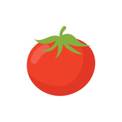 Tomato Illustration