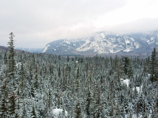 A treetop view of a snow-covered spruce forest in the foreground and snow-capped mountains in the background.