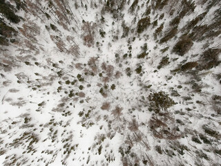 Bird's-eye view of a marsh dotted with snow-covered spruce trees on a beautiful winter day