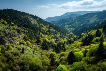 Fototapeta premium Springtime Serenity in Greece: Lush Green Hills of Oichalia for Outdoor Adventures