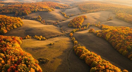 Aerial View of Rolling Hills in Autumn Splendor