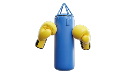 Boxing Bag with Gloves - Training Concept