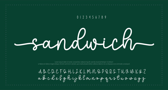 Script Elegant Signature Typeface. Lettering signature font isolated on background. brush style alphabet. Vector logo letters.  