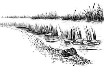 Fototapeta premium Black and White Riverbank Illustration Featuring Water, Reeds, Rocks, and Lily Pads in Natural Wetland Scene 