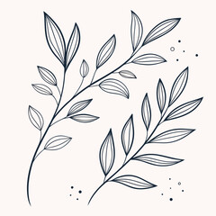 Botanical Sketch: A delicate line drawing of two elegant branches adorned with leaves, rendered in monochrome. Capturing the graceful essence of nature's artistry and simple elegance.