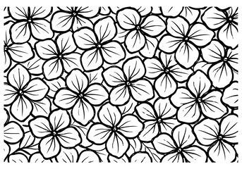 hydrangea hand drawn simple sketch vector illustration