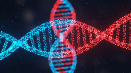 3D Rendered Red and Blue DNA Double Helix Structure