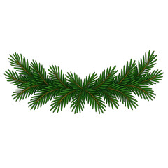 Christmas garland pine branch isolated on white background Vector illustration