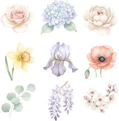 An assortment of single watercolor flowers including a pale rose, hydrangea, daffodil, iris, poppy, wisteria, and eucalyptus sprig