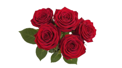 Five vibrant red roses with green leaves on a transparent background, PNG image