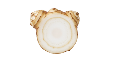 Fresh white root vegetable crosssection, possibly parsley root or parsnip, revealing internal structure and texture, isolated on transparent background