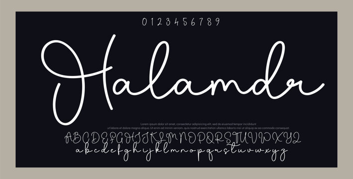 signature Font Calligraphy Logotype Script Brush Font Type Font lettering handwritten  