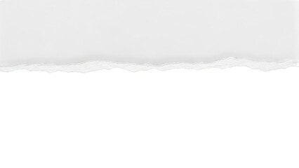 White Torn Paper Edge With Rough Texture