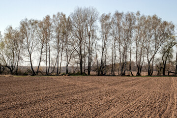  Plowing the land in spring. A view of a plowed field and a sparse grove of trees along its edge....
