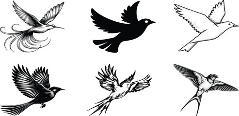 Soaring Silhouette: An artistic representation of several different birds, depicted in a monochrome palette with distinct flight positions and styles.