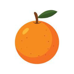 vector illustration of an orange