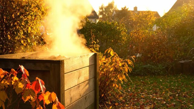 Steaming compost bin in an autumn garden, with golden light.