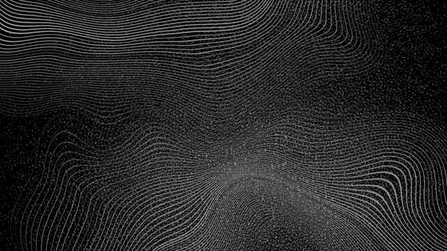 Abstract monochrome wavy curved lines with grunge grainy texture background. Seamless looping geometric linear motion design. Video animation Ultra HD 4K 3840x2160