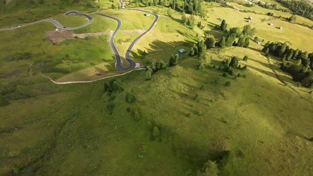 aerial winding road through grassy dolomites, golden light casting long shadows across rolling meadow and scattered fir trees, small switchback curve visible, remote alpine landscape ideal