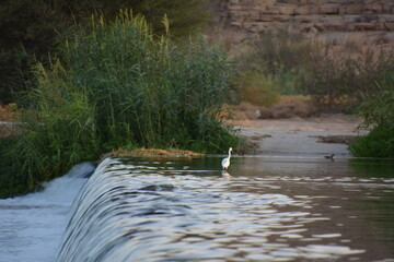 small waterfall in a river