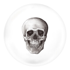 Obraz premium Human skull png sticker, vintage Halloween in bubble, transparent background
