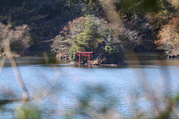 伊豆 一碧湖の秋。大池、赤鳥居。