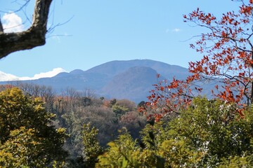 伊豆 一碧湖の秋。大池より望む天城山。
