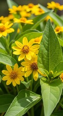 Close-up view of vibrant yellow flowers with lush green foliage, showcasing intricate details and a natural, cheerful mood.